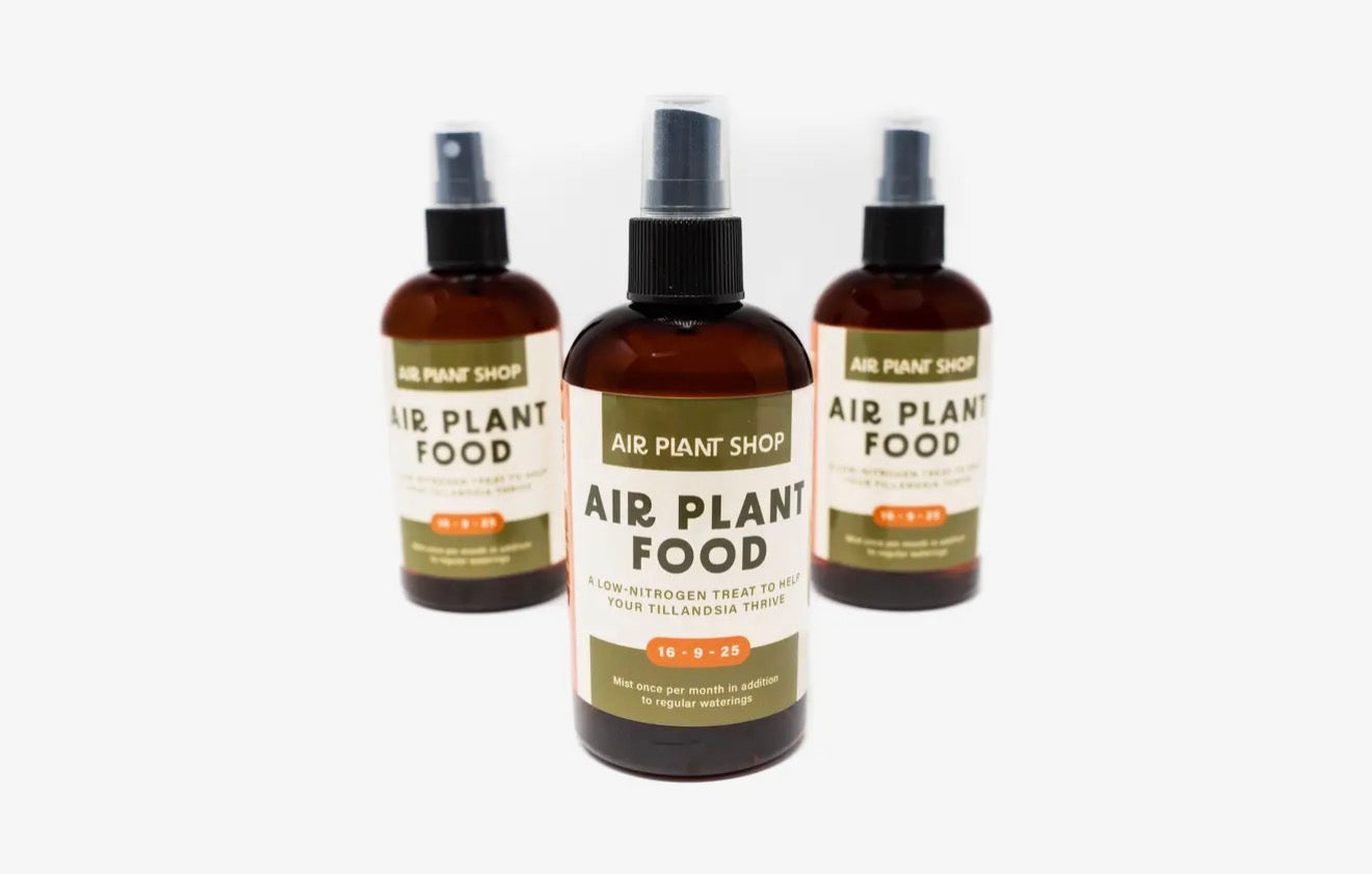 Air Plant Food